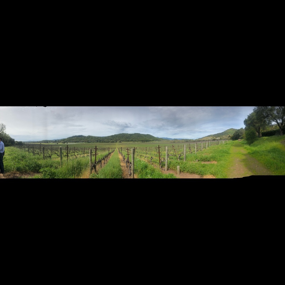 Meet your Posher, Franny